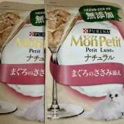 ヒメ日記 2026/02/08 15:06 投稿 白瀬奈美 ローテンブルク