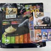 ヒメ日記 2026/02/10 17:09 投稿 白瀬奈美 ローテンブルク