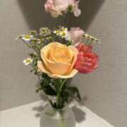 ヒメ日記 2026/02/11 06:32 投稿 白瀬奈美 ローテンブルク