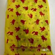 ヒメ日記 2026/02/11 08:30 投稿 白瀬奈美 ローテンブルク