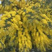 ヒメ日記 2026/02/26 11:14 投稿 白瀬奈美 ローテンブルク