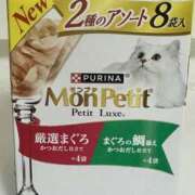 白瀬奈美 にゃんと私 ローテンブルク