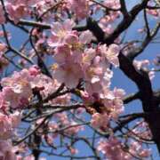 ヒメ日記 2026/03/01 12:21 投稿 白瀬奈美 ローテンブルク