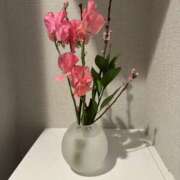 ヒメ日記 2026/03/03 16:07 投稿 白瀬奈美 ローテンブルク