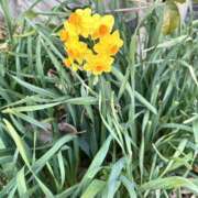 ヒメ日記 2026/03/09 12:52 投稿 白瀬奈美 ローテンブルク