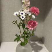 ヒメ日記 2026/03/15 16:49 投稿 白瀬奈美 ローテンブルク