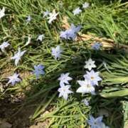 ヒメ日記 2026/03/16 13:18 投稿 白瀬奈美 ローテンブルク