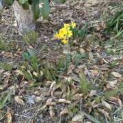 ヒメ日記 2026/03/19 06:51 投稿 白瀬奈美 ローテンブルク