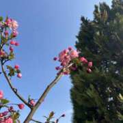 ヒメ日記 2026/03/29 09:06 投稿 白瀬奈美 ローテンブルク