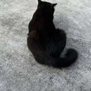 ヒメ日記 2026/04/02 15:55 投稿 白瀬奈美 ローテンブルク