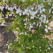 ヒメ日記 2026/04/12 17:44 投稿 白瀬奈美 ローテンブルク