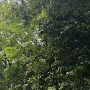 ヒメ日記 2026/04/22 12:02 投稿 白瀬奈美 ローテンブルク