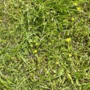 ヒメ日記 2026/04/24 09:20 投稿 白瀬奈美 ローテンブルク