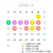 ヒメ日記 2026/04/29 22:35 投稿 白瀬奈美 ローテンブルク