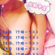 ヒメ日記 2024/12/26 14:02 投稿 なな spicyな女たち