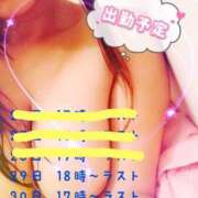 ヒメ日記 2024/12/29 13:11 投稿 なな spicyな女たち