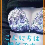 ヒメ日記 2026/03/01 11:33 投稿 椎名 【電撃復活の人気美妻】 仙台大人の秘密倶楽部