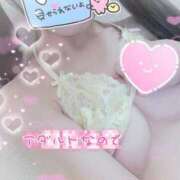 みみ いるよ💖 MAHARAJA(マハラジャ)千葉