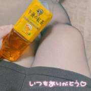 ヒメ日記 2024/12/15 23:30 投稿 あおい 京都祇園・南インターちゃんこ