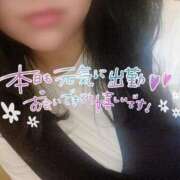 ヒメ日記 2024/12/28 15:35 投稿 あおい 京都祇園・南インターちゃんこ