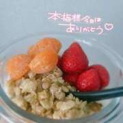 ヒメ日記 2025/02/08 16:22 投稿 あおい 京都祇園・南インターちゃんこ