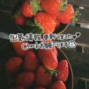 ヒメ日記 2025/03/18 12:45 投稿 あおい 京都祇園・南インターちゃんこ