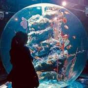 ヒメ日記 2025/08/07 17:30 投稿 あおい 京都祇園・南インターちゃんこ