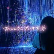 ヒメ日記 2025/11/24 08:55 投稿 あおい 京都祇園・南インターちゃんこ