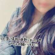 ヒメ日記 2025/11/26 19:30 投稿 あおい 京都祇園・南インターちゃんこ