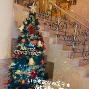 ヒメ日記 2025/12/07 08:45 投稿 あおい 京都祇園・南インターちゃんこ