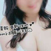 ヒメ日記 2026/02/17 12:16 投稿 あおい 京都祇園・南インターちゃんこ