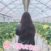 ヒメ日記 2026/03/20 23:30 投稿 あおい 京都祇園・南インターちゃんこ