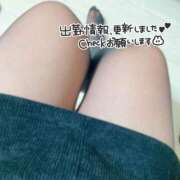 ヒメ日記 2026/04/15 12:15 投稿 あおい 京都祇園・南インターちゃんこ