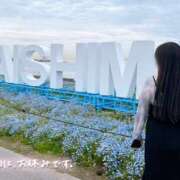 ヒメ日記 2026/04/22 14:25 投稿 あおい 京都祇園・南インターちゃんこ