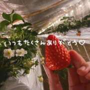 ヒメ日記 2026/05/12 23:30 投稿 あおい 京都祇園・南インターちゃんこ