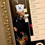 ヒメ日記 2025/02/11 20:30 投稿 リンカ 広島で評判のお店はココです！