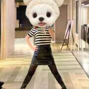 ヒメ日記 2025/02/17 19:02 投稿 リンカ 広島で評判のお店はココです！