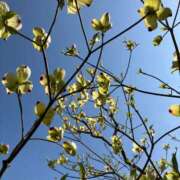 ヒメ日記 2025/04/19 18:31 投稿 リンカ 広島で評判のお店はココです！