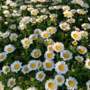 ヒメ日記 2025/04/29 22:27 投稿 リンカ 広島で評判のお店はココです！