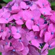 ヒメ日記 2025/06/25 18:05 投稿 リンカ 広島で評判のお店はココです！