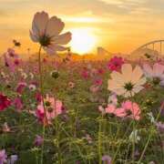 ヒメ日記 2025/11/01 09:19 投稿 リンカ 広島で評判のお店はココです！