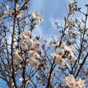 リンカ [お題]from:かんさん 広島で評判のお店はココです！