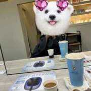 ヒメ日記 2026/08/31 20:46 投稿 リンカ 広島で評判のお店はココです！