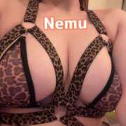 ヒメ日記 2025/04/12 06:18 投稿 ねむ リッチドールパート2梅田店