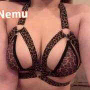 ヒメ日記 2026/04/18 17:36 投稿 ねむ リッチドールパート2梅田店