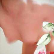 ヒメ日記 2026/03/04 21:16 投稿 黒木明希子 五十路マダム 浜松店(カサブランカグループ)