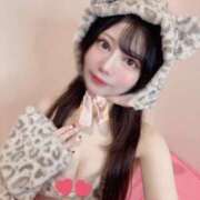 ヒメ日記 2025/05/31 09:22 投稿 心/こころ centu STYLISH BACH