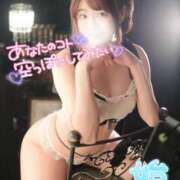 ヒメ日記 2024/12/18 16:56 投稿 ゆうこ スイカ