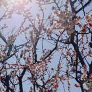 ヒメ日記 2025/03/10 17:12 投稿 ゆうこ スイカ