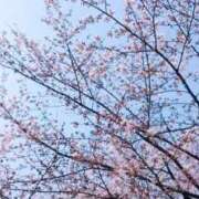 ヒメ日記 2025/04/05 22:16 投稿 ゆうこ スイカ